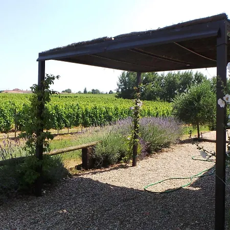 Beautiful With Swimming Pool Holiday home